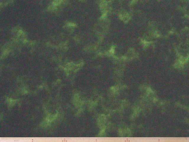 コットン・ムラ染め調ソフトキャン(ダークグリーン)