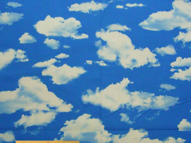 雲柄・コットンオックスプリント(ブルー)