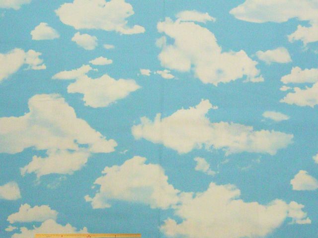 雲柄・コットンオックスプリント(ブルー)