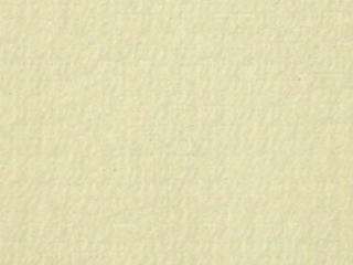 片面コットンタオル地（クリーム）