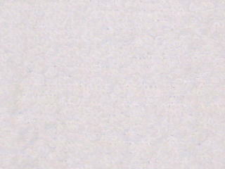 片面コットンタオル地（ホワイト）