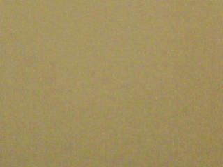 ニューベンヒット#294